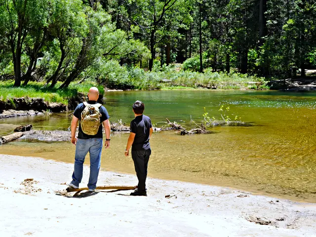 Inquiry into the typical interest return for savings deposits.