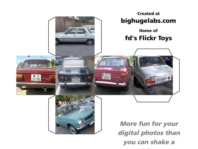 Unleashing a flourishing zero-emissions industry within the automotive sector is the goal of the...